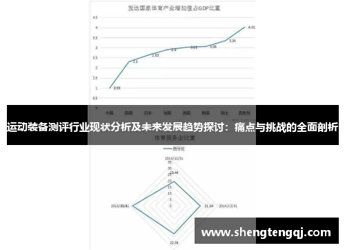 运动装备测评行业现状分析及未来发展趋势探讨：痛点与挑战的全面剖析